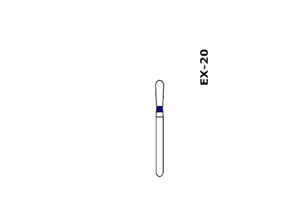   (5 .)  EX-20