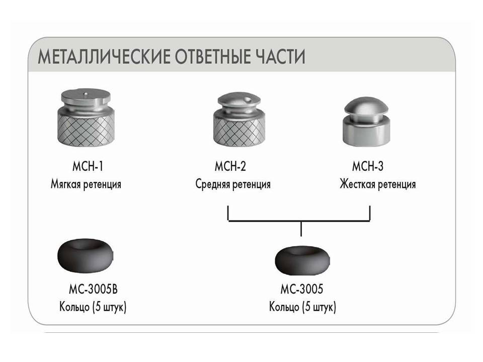  -  ,  (25 .)
