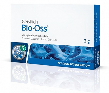 Bio-Oss,  S 2  (0,25-1)